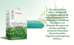 Eucalyptus Memory Foam Pillow - G